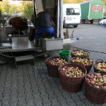 Apfelaktion an der Biologischen Station